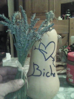 Mattys - Les Plans-sur-Bex - Vaud | Plans cul