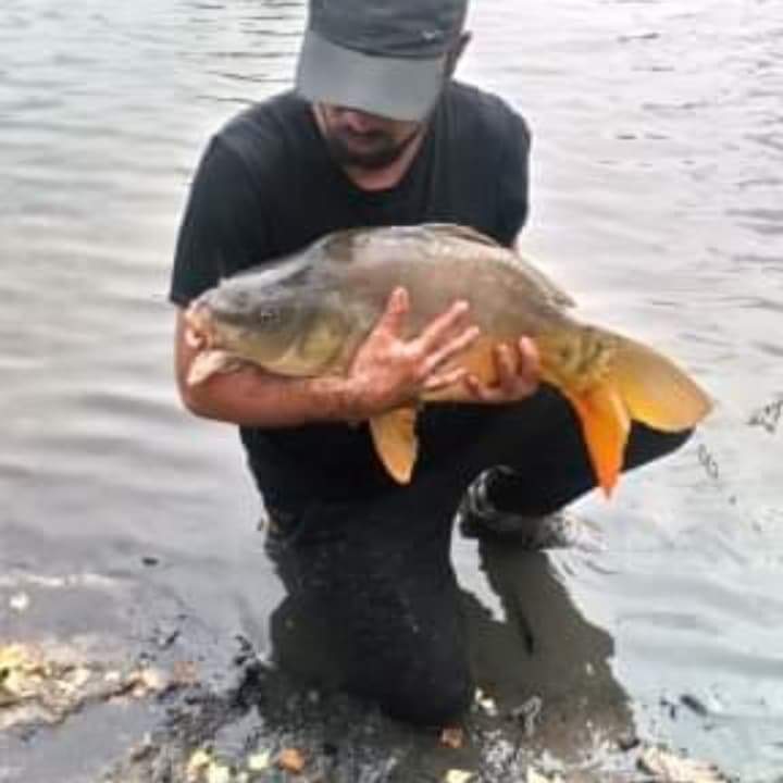 Roselin - Chernex - Vaud | Plans cul