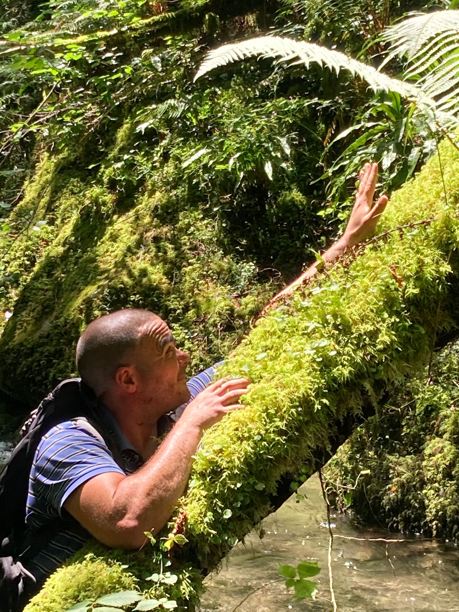 Misael - Andermatt - Uri | Plans cul