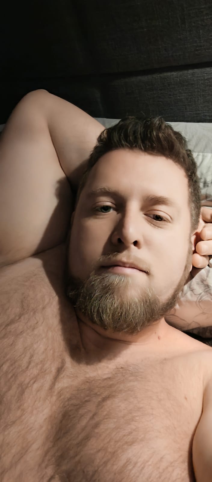 Wladyslas - Cavigliano - Tessin | Plans cul