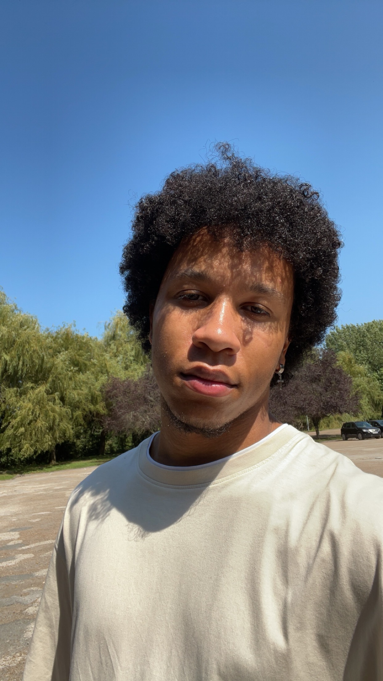 Spartaco - Comologno - Tessin | Plans cul