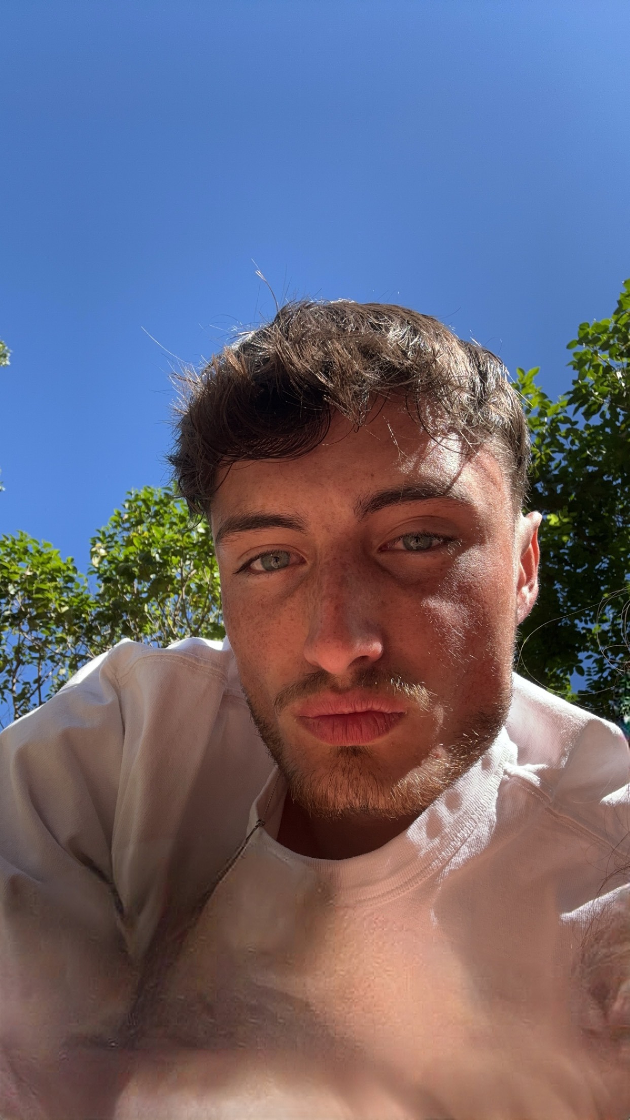 Agathon - Buch b. Märwil - Thurgovie | Plans cul