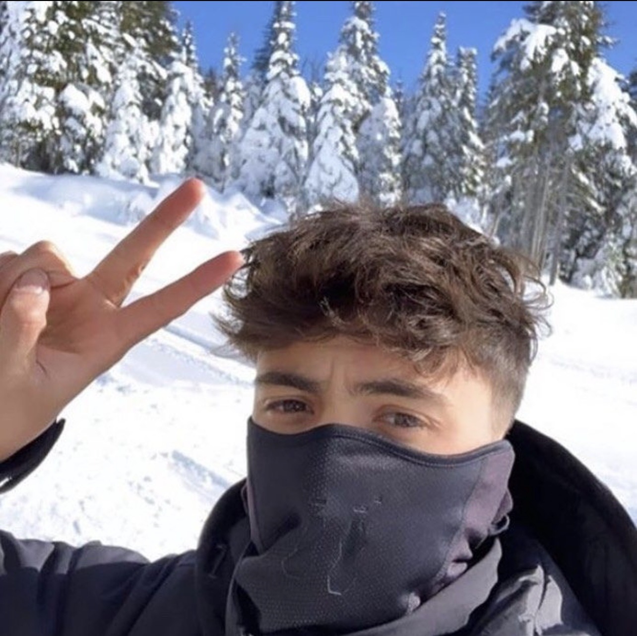 Stevann - Buttikon SZ - Schwytz | Plans cul