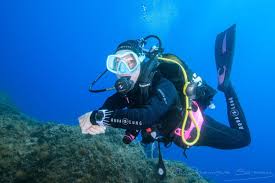 Engy - Féchy - Vaud | Plans cul