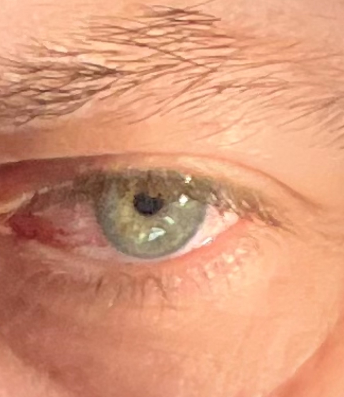 Gentien - Chamoson - Valais | Plans cul