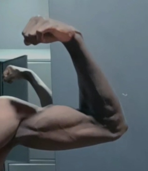 Cody - Hätzingen - Glaris | Plans cul