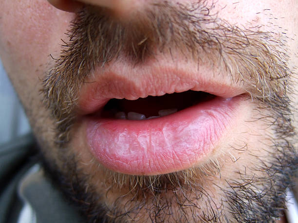 Melvil - Koppigen - Berne | Plans cul