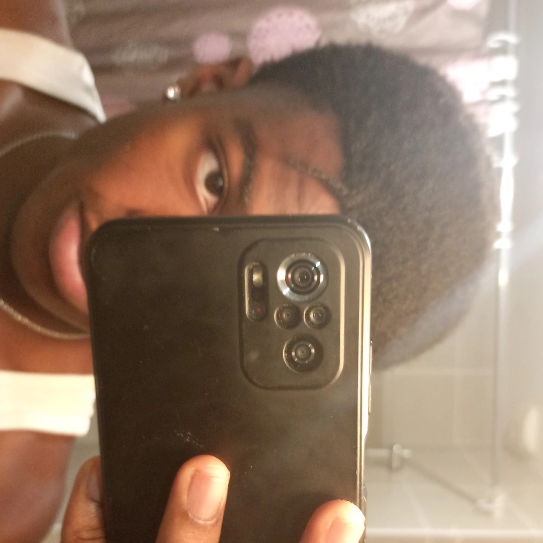 Mejid - Birgisch - Valais | Plans cul