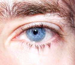 Siam - Langenbruck - Soleure | Plans cul